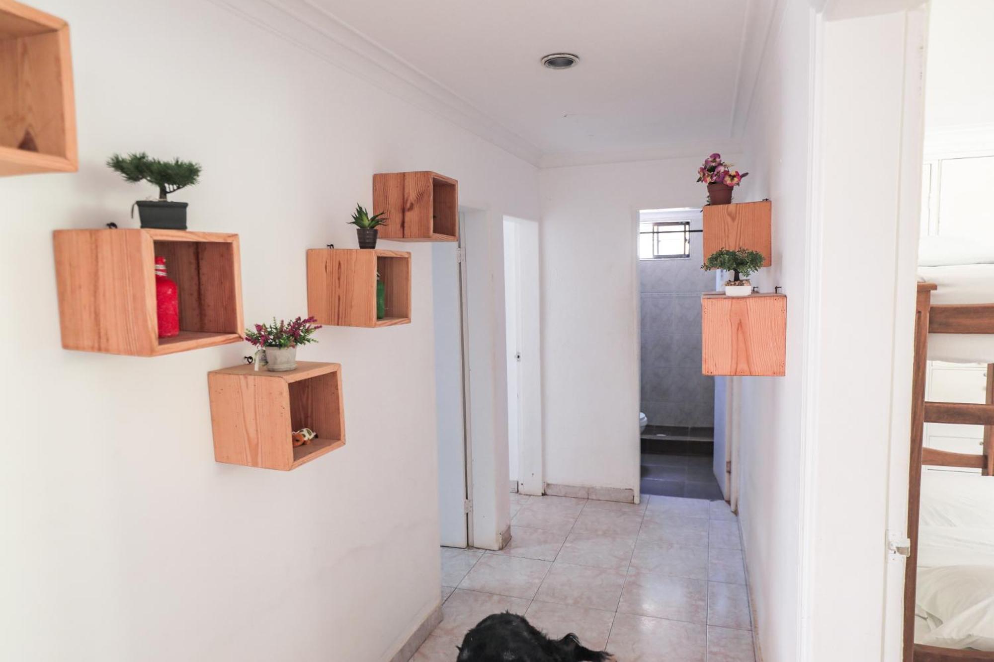 Hostal Palo Alto ซานอันเดรส ภายนอก รูปภาพ